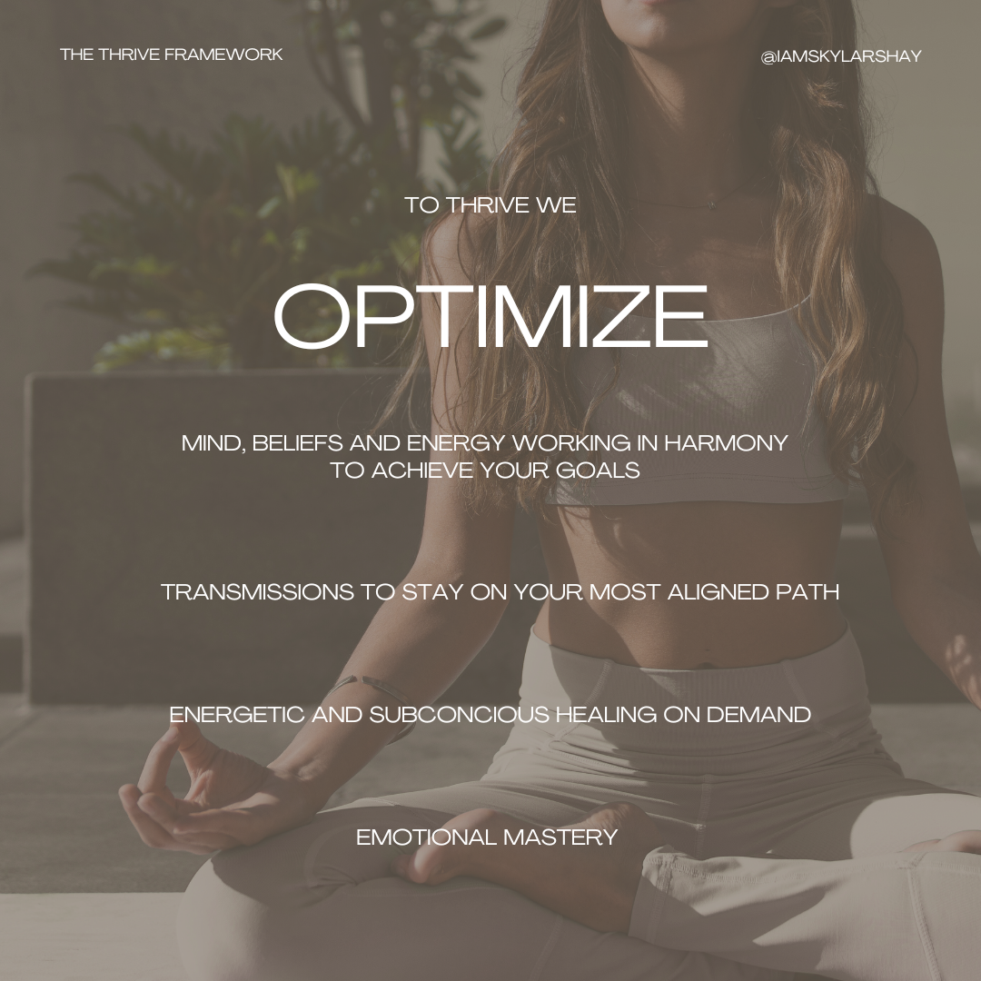 The THRIVE Optimization Portal